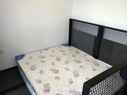 Sims Urban Oasis (D14), Condominium #501157721